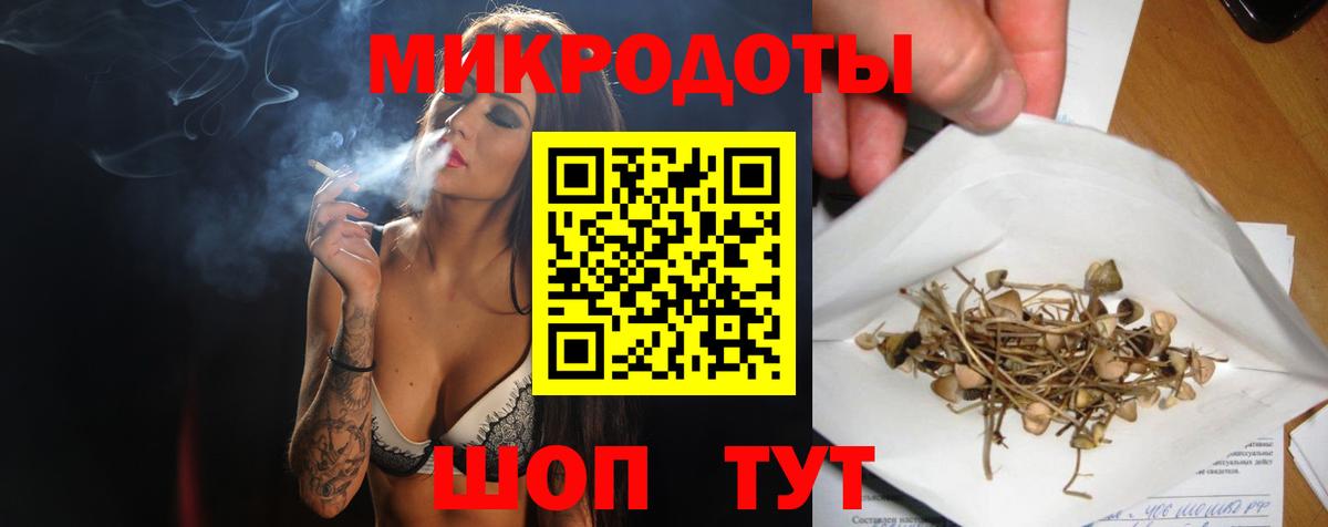 Галлюциногенные грибы GOLDEN TEACHER Курганинск